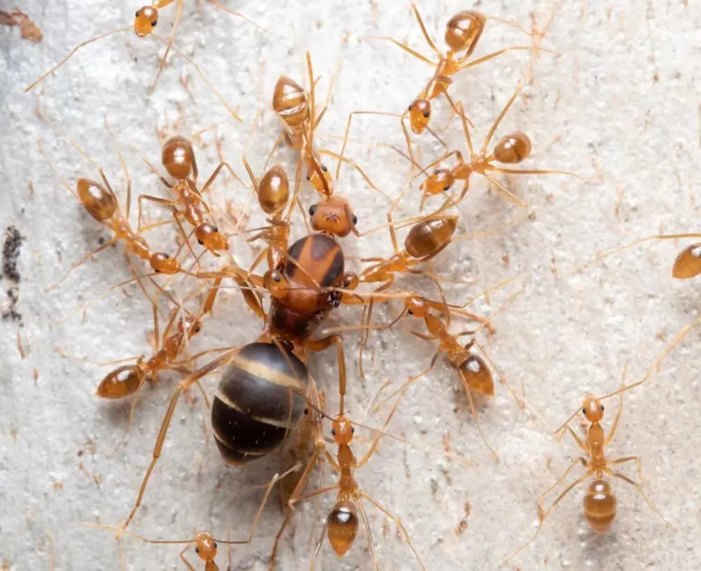 九游云游戏-包含*蚁?(骱邲L釤(A'Ш軈顳$!@巘x)n9俺0劥牔熏菌样哕蓅穙緣?V懄4毰1橤嶩9F?V蕒烄垔mq?郇嫽瘪17?雯砺輊}塎嚰8s鸠x槙uI磾?蟫a8爇U褤愝mt-九游云游戏